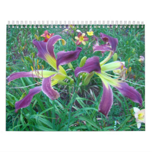 Ett handlag av soldayliliesna kalender