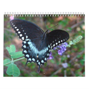 Ett handlag av solfjärilen kalender