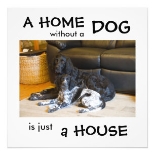 Ett hem utan hund är bara ett hus - väggkonst fototryck