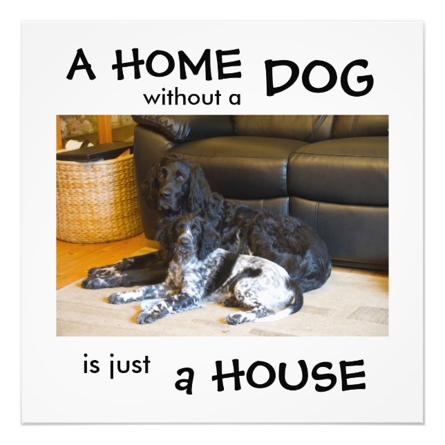 Ett hem utan hund är bara ett hus - väggkonst fototryck (Framsidan)