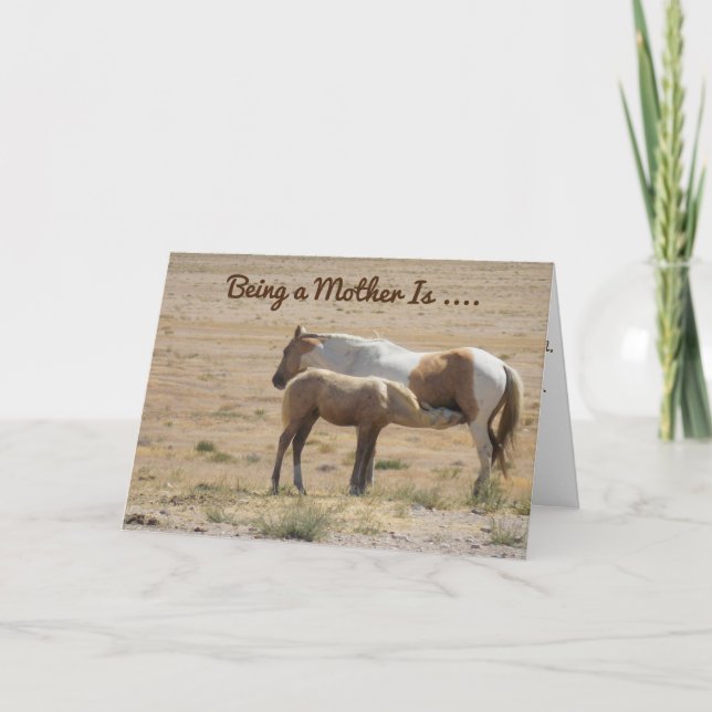 Ett Horse Mothering Hennes Baby Lycklig Mors dag-k Kort (Framsida)
