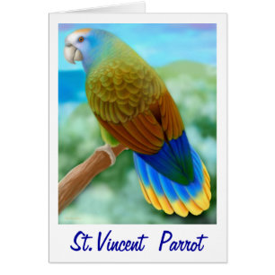 Ett hotat St Vincent Parrot-kort Hälsningskort