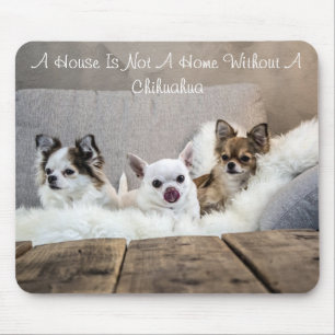 Ett hus är inte ett hem utan en Chihuahua Mousepad Musmatta