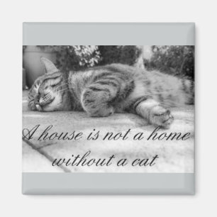 Ett hus är inte ett hem utan en kattmagnet! magnet
