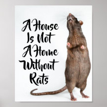 Ett hus är inte ett hem utan Råttor