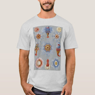 Ett Hydrozoan - Siphonophores Tee