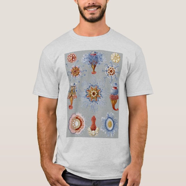 Ett Hydrozoan - Siphonophores Tee (Framsida)