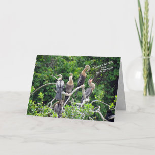 Ett i en folkgrupp - Anhinga Family Greeting Card Kort