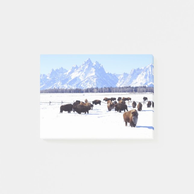 Ett intressant nytt noterar Posta-det stil Post-it Block (Framsida)