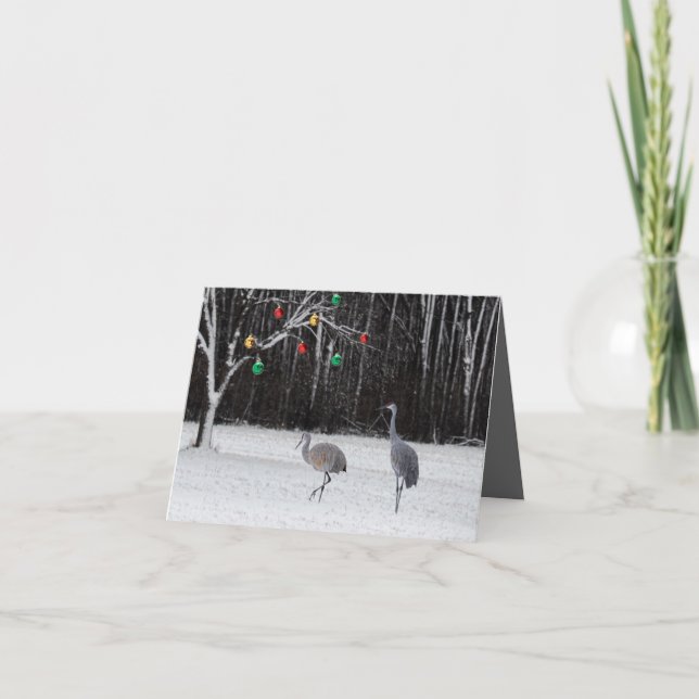 Ett julkort med Sandhill Cranes Helgkort (Framsida)