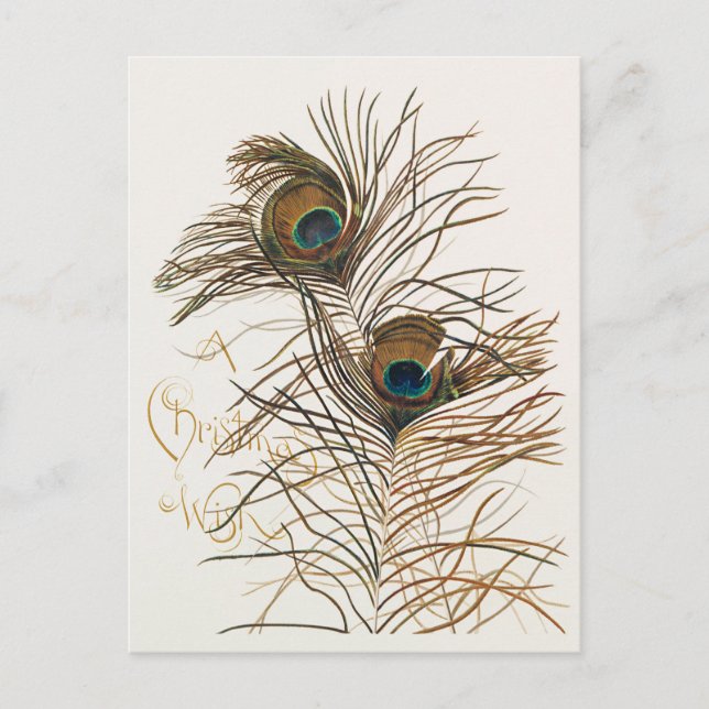 Ett julönskemål med tropiskt julkort helg vykort (Framsida)