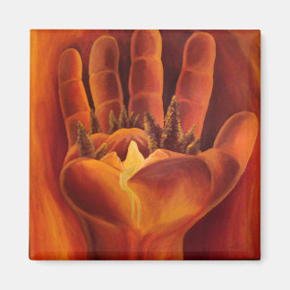 Ett känsligt saldo magnet