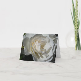 ett känsligt vitt utandningsmedel och oskuld tack kort