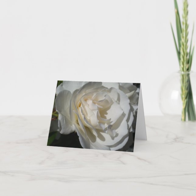 ett känsligt vitt utandningsmedel och oskuld tack kort (Framsida)