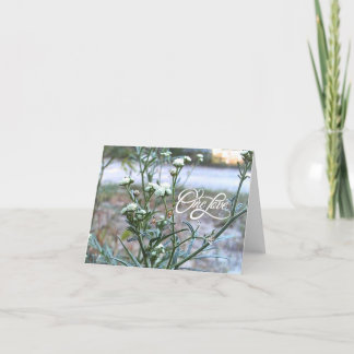 Ett Kärlek, vitt vildblomma, tomt naturskyddskort Tack Kort