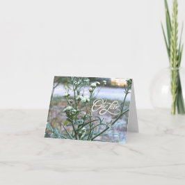 Ett Kärlek, vitt vildblomma, tomt naturskyddskort Tack Kort