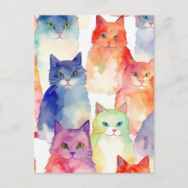 Ett kattkaos vykort (Framsida)