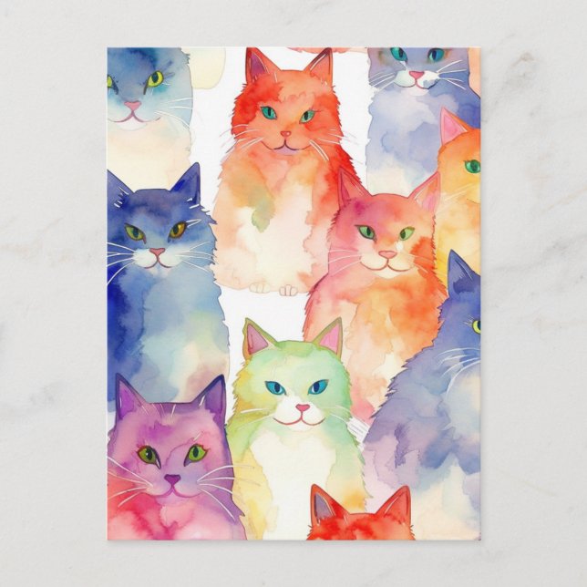 Ett kattkaos vykort (Framsida)