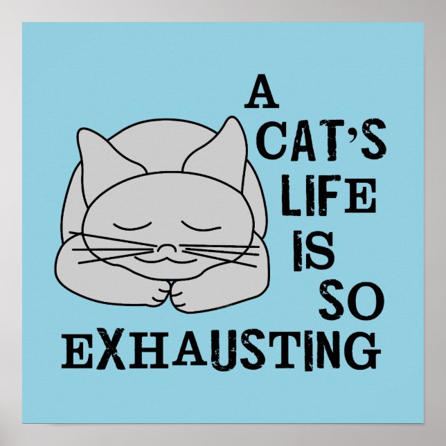 Ett kattliv poster (Framsidan)