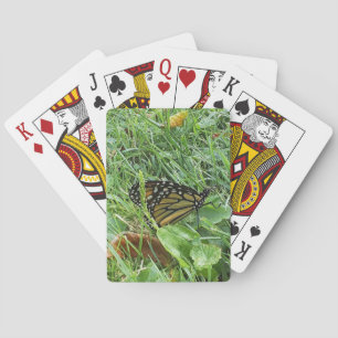 Ett klassiskt monarch Butterfly-kort Casinokort