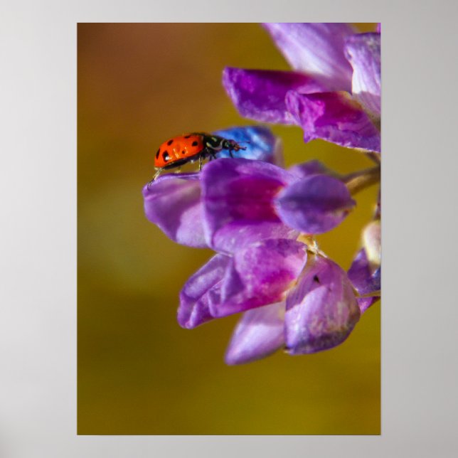 Ett kryp liv. poster (Framsidan)