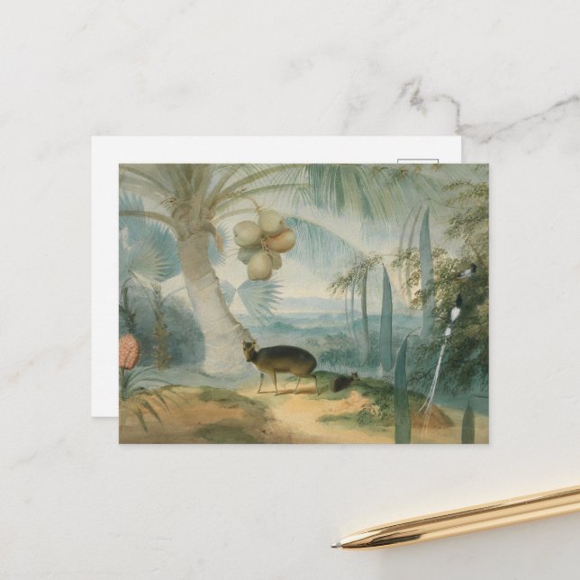 Ett landskap i Ceylon av Samuel Daniell Vykort (Fram/Back In Situ)