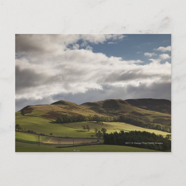 Ett landskap med rullande Backe och moln som överf Vykort (Framsida)