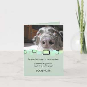 Ett leende är lyckan som du finner under din näsa kort