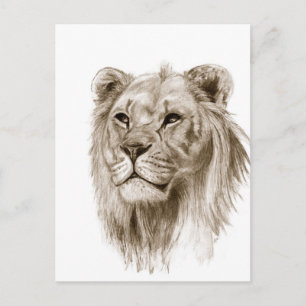 Ett Lejon - utan Pride Teckning Sketch Art Vykort