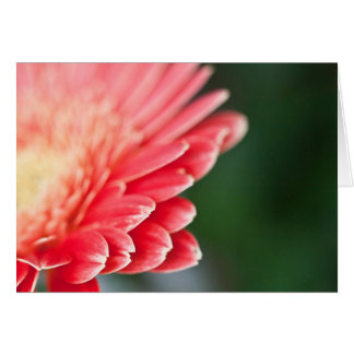 Ett lite blygt hälsningskort