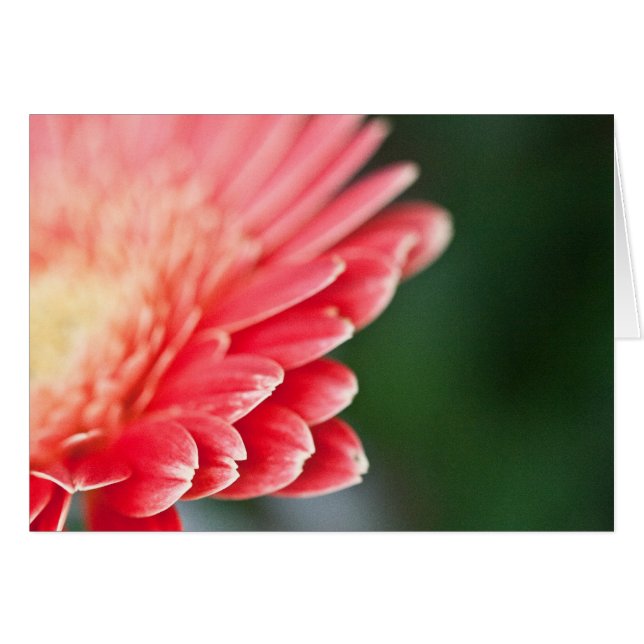 Ett lite blygt hälsningskort (Framsidan Horizontal)