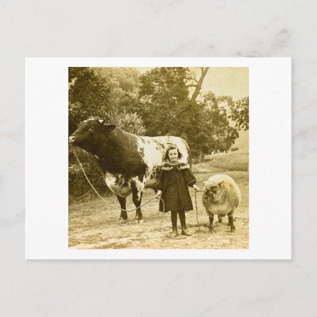 Ett litet barn ska leda dem vykort (Framsida)