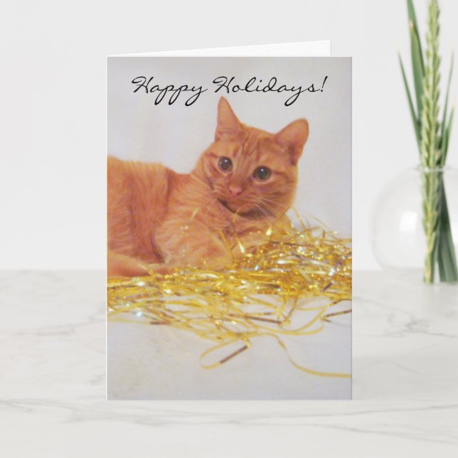 Ett litet gnistrande katt julhälsningskort helgkort (Framsida)