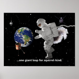 Ett litet steg för ekortyp Poster