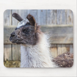 Ett Lyckligt Lama Musmatta