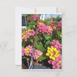 Ett lyckokort tack kort