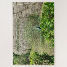 Ett Majestiskt ögonblick uppfällt - tysta Ember Pu