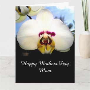 ETT MEDDELANDE FRÅN MORS DAG TILL MAMMA