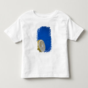 Ett medelhavslimon t-shirt