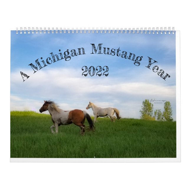 Ett Michigan Mustang-år Kalender (Omslag)