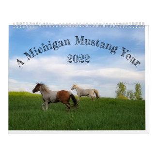 Ett Michigan Mustang-år Kalender