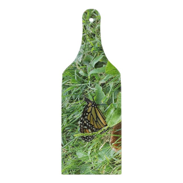 Ett monarch Butterfly Clearing Board (Framsidan)