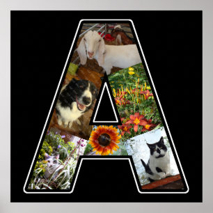 Ett Monogram Skapar ditt eget 6 fotokollage svart Poster