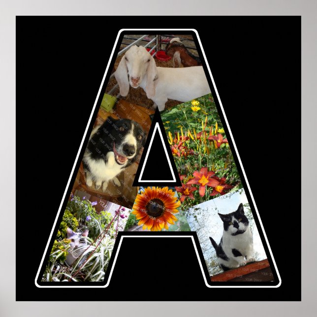 Ett Monogram Skapar ditt eget 6 fotokollage svart Poster (Framsidan)