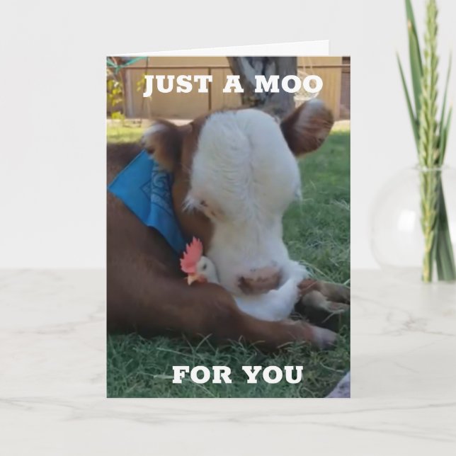 ETT MOO OCH EN ÖNSKAN PÅ "DIN BIRTHDAY" KORT (Framsida)