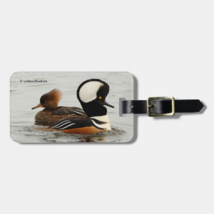 Ett möte med Hooded Mergansers Bagagebricka