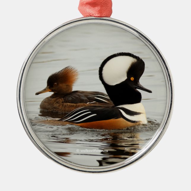Ett möte med Hooded Mergansers Julgransprydnad Metall (Framsidan)