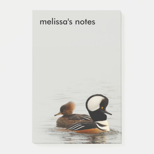 Ett möte med Hooded Mergansers Post-it Block (Framsida)