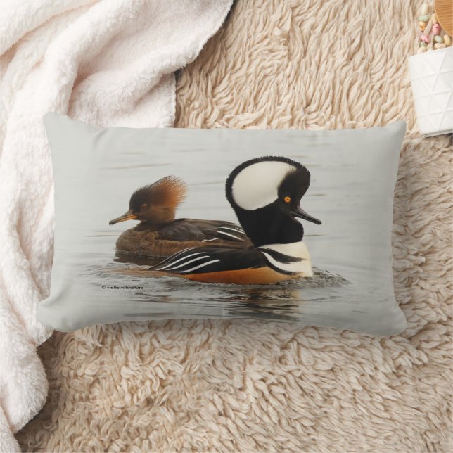 Ett möte mellan Hooded Merganser Anka vid dammen Lumbarkudde (Filt)