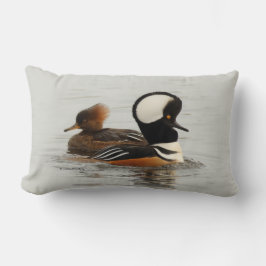 Ett möte mellan Hooded Merganser Anka vid dammen Lumbarkudde